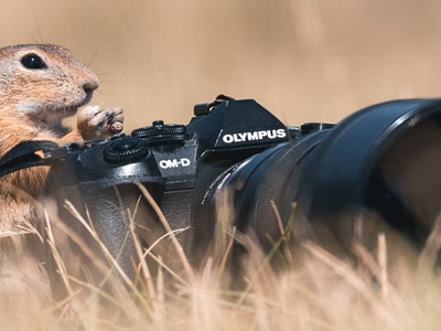  Beitragsbild